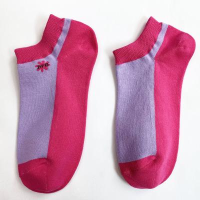 China Athletic Factory Wholesale Summer Socks Women NO SHOW Spandex Polyester Cotton Sports Socks for sale