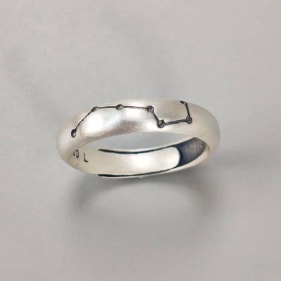 China Other Sterling Silver Hip Hop Rings Women Men Jewelry Christmas Gift Gold Plated Fine Jewelry Minimalist Couples Ring for sale