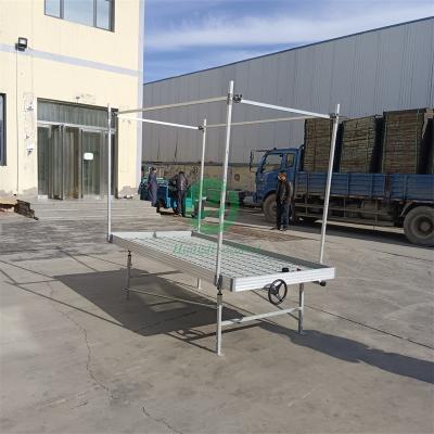 China Stable Structure Easily Assembled Drain Table Flood Hydroponic Movable Rolling Growing Table With Hydroponics System for sale