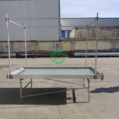 China Stable Structure Easily Assembled Hydroponic Forage Table Grow Trays ABS Lower Flow Rolling Bench for sale