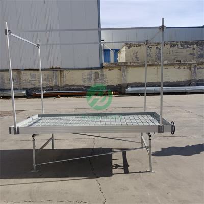 China Stable Structure Easily Assembled Hydroponic Vertical Growing Rack Grow 4x8 Flood Table for sale