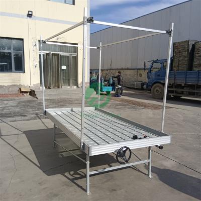 China Stable Structure Easily Assembled High Quality Multi Level 4x8 Ebb And Flow Rolling Bench Made In China for sale