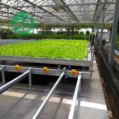 China Stable Structure Easily Assembled Hydroponic System Grow Table Plastic Tray Fully Automatic Ebb And Flow Rolling Benches for sale