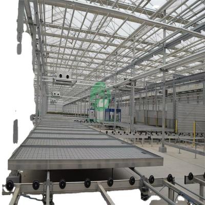 China Stable Structure Easily Assembled Full Automatic Greenhouse Tidal Seedling With Moving System Rolling Table for sale