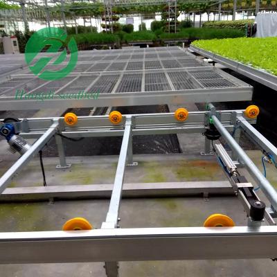 China Stable Structure Easily Assembled Greenhouse Tray-Water Seedling System Greenhouse Flood and Drain Tray Hydroponics for sale