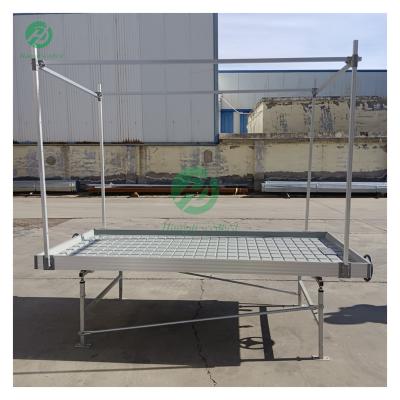 China Stable Structure Easily Assembled Hydroponic Flood Table Trays Dip And Flow Seedling Greenhouse Grow Table Movable Rolling Bench For Seedling / Breeding for sale