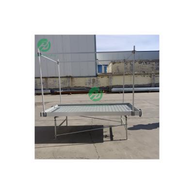 China Stable Structure Easily Assembled Mobile Seeding System Galvanized Vertical Ebb and Flow Tables Elevating Rolling Benches for Sale for sale