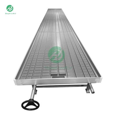 China Stable Structure Easily Assembled High Quality Full Automatic Tidal Seedling With Moving System Rolling Table For Greenhouse for sale