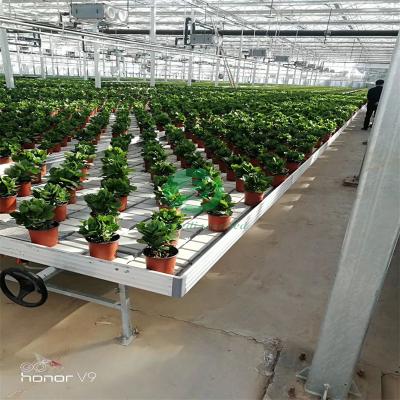 China Stable Structure Easily Assembled Logistics Agricultural Sowing Movable Rolling Table Used For Nursery Logistics Sowing for sale