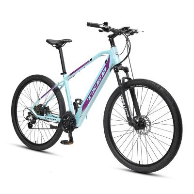 China Aluminum alloy 29 inch 250 watt mountain electric bike 10.4ah emtb for sale