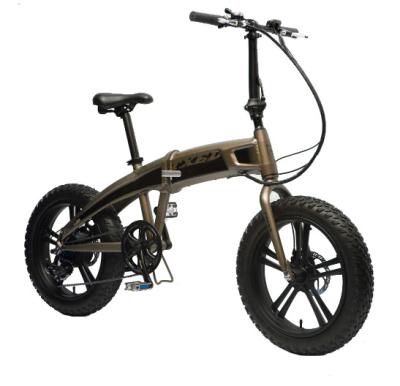 China Aluminum Alloy Battery Electric Bike 20inch Ebike Hidden Foldable Tire 20