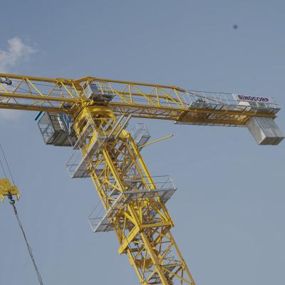 China Tower Crane Competitive Price Tower Crane PT70300-12t for sale