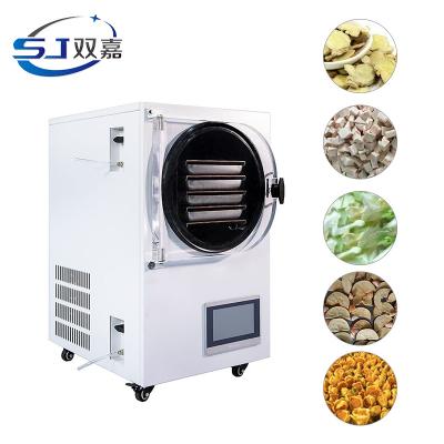 China SJIALAB 0.56M2 Food Processing FruitVacuum Freeze Drying Fruit Vacuum Freeze Dryer Machine SJIA-06H For Sale for sale