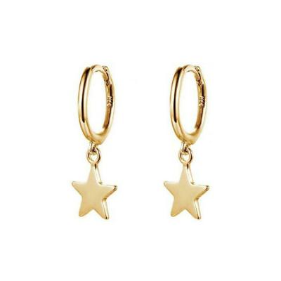 China Hot Sale Silver Gold Plated Tasty Star Circle Earrings For Women Jewelry for sale