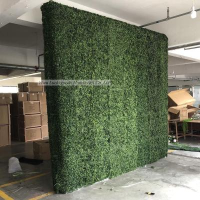 China LFB1637 Luckygoods Wall LFB1637 Luckygoods Green Grass Plant Wall Home Garden Delay Grass Wall Silk Floral Decorative Indoor Outdoor Artificial Decor Panel for sale