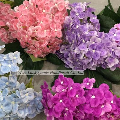 China BH210313-101 Wholesale New Arrival Wedding Party Home Decoration High Quality Preserved Hydrangea For Wedding Decoration Silk Flower for sale