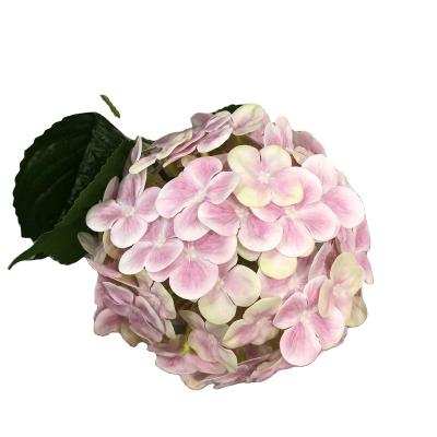 China BH210313-100 Whole Sale Ornament Artificial Hydrangea Flower For Wedding Decoration for sale