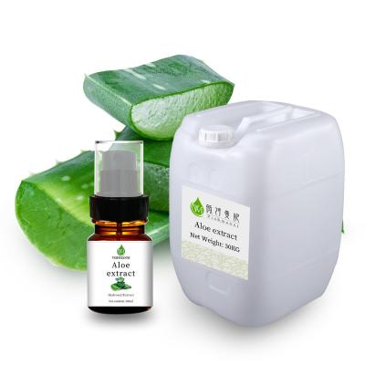 China Anti aloés puro antisséptico inflamatório Vera Hydrosol Liquid 100ML 30KG à venda