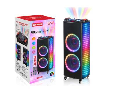 China Active LED Flashing Light NDR-1212S High Power Dual 12 Inch TWS Portable Blue Tooth DJ Karaoke Party Wireless Speaker With Rechargeable Battery for sale