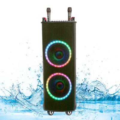 China LED Flashing Light NDR-1212S Dual 12 Inch Trolley Party Speaker Super Large Size Bass Wireless BT Microphone DJ Home Audio Outdoor Speaker for sale