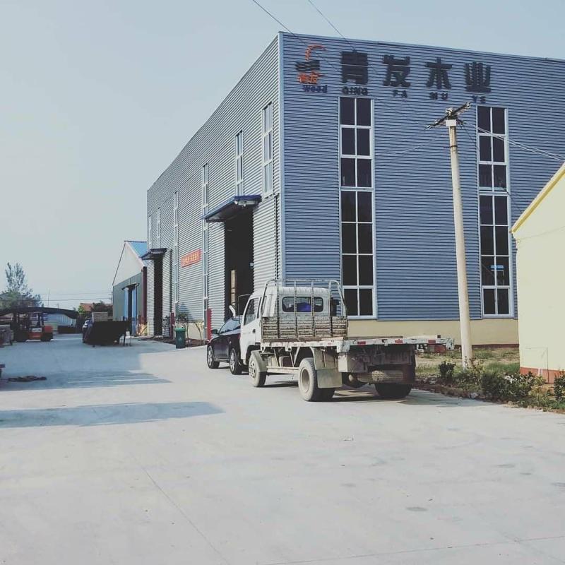 Verified China supplier - Heze Qingfa Enterprises Co., Ltd.