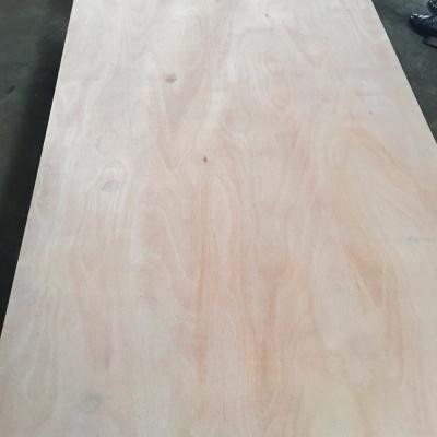 China CHINESE PLYWOOD FOR MANUFACTURING PACKAGING AND FURNITURE for sale