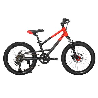 China Ride Customized Aluminum Alloy 20 Inch Bicycle Variable Speed ​​Disc Brake Shock Absorbing Ultralight Teenager Bike for sale