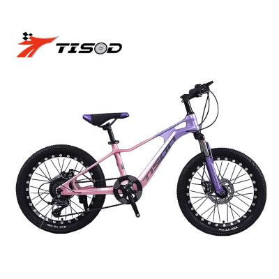 China 2023 New Steel Kids Bike Best Quality Tested Wholesale Custom Sports Kids Bike Red 18 20 22 Inch Kids Mountain Bike for sale