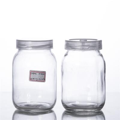 China Agriculture Clear Glass Jar 480ml Tissue Culture Plant Glass Bottle With Plastic Lid for sale