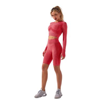 China 2022 Breathable Seamless Long Sleeved Yoga Set Women's Yoga Set Long Sleeve Ladies Yoga Gym Fitness Sets for sale