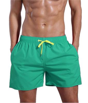 China 2022 Popular Pure Cotton Shorts Quick Dry Multicolor Men's Breathable Beach Pants for sale