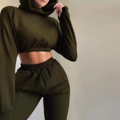 China Hot Selling Plus Size Fleece Breathable Sports Casual Suit Jogging Set Tracksuit For Women for sale