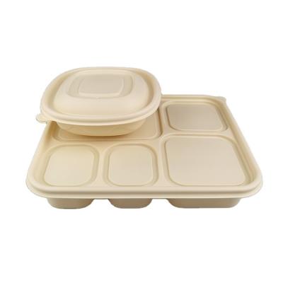 China Disposable Eco Friendly Stocked Biodegradable Disposable Biodegradable plastic cornstarch box corn starch bento clamshell lunch box for sale