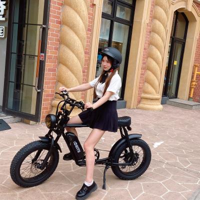 China Aluminum Alloy Fat Tire 48V 500W Ebike Double Battery High Configration for sale