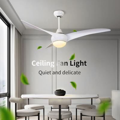 China Simple Minimalist Morden Good Prices Indoor Decorative Ceiling Fan Practical Indoor Decorative Remote Control Led Light for sale