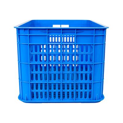 China Customized Volume Plastic Chicken Transport Crate for Poultry and Fish Transportation for sale