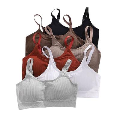 China Hot Sale Antibacterial Women's Seamless Sports Wear Wireless Fitness Yoga Bralette Padded Bra for sale