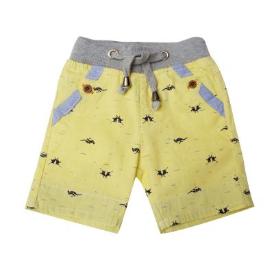 China Boys Summer Breathable Kids Shorts Boys Solid Color Casual Cotton Shorts Kids Boys Shorts for sale