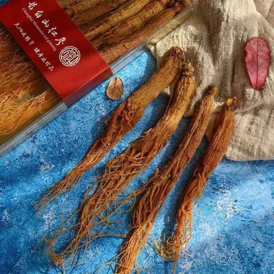 China Free Samples Raw Panax Ginseng Red Ginseng Extract 10.5mm for sale