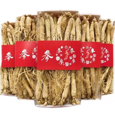 China Health Protects Free Samples Panax Root Korea Honey Red Ginseng Korea Ginseng for sale