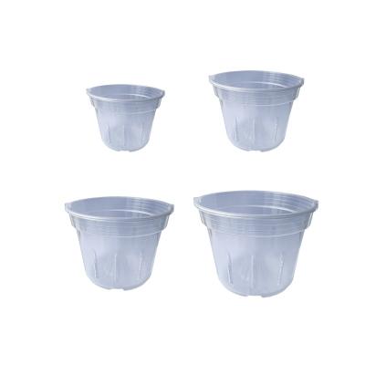 China Durable Transparent Clear Flower Pot PP Plant Pot With Side Vents And Bottom Holes For Orca Succulent Orca Hanging Pot for sale