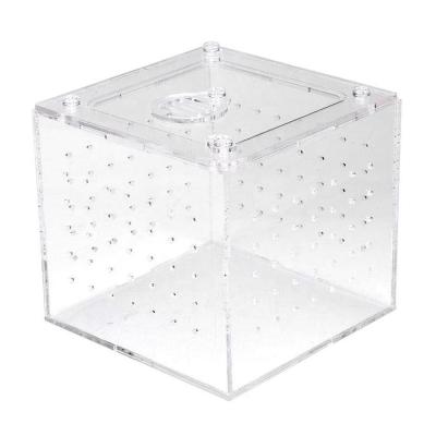 China Viable Lucite Plexiglass Reptile Breeding Box for sale