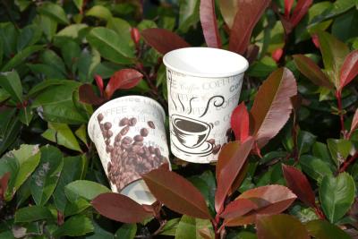 China Hot Coffee Cups for sale