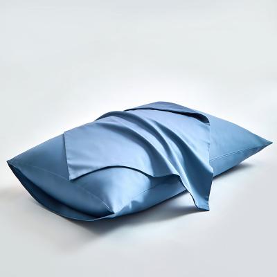 China Mulberry 22mm 51*76cm 100% Silk Anti Dust Mite Pillow Case 51*76cm Pure Color 33 Wholesale Pure Envelope for sale