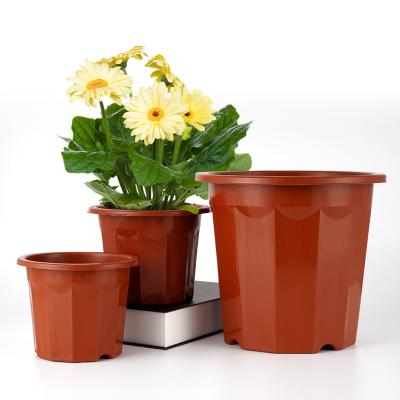 China Plant Outlets Minimalist Durable Plastic Graft Pot Nursery Pots for sale