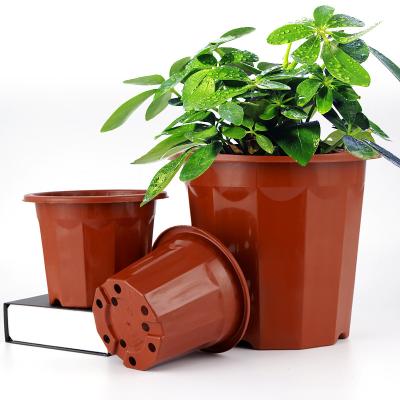 China Minimalist Plastic Wholesale Plastic Planters Pot Gallon Pot Garden Pot Nursery Thick Bonsai Pruning for sale