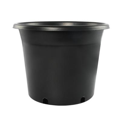 China New Generation BA Modern Chunky Bucket Plastic Green Mounted Large Caliber Succulent Clearance for sale