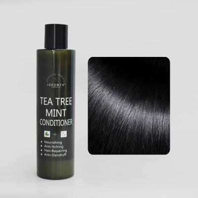 China Loss Prevention Mens Hair Care Repair Color Damaged Hair Shiny Shampoo Customized Other Men's Hair Care And Styling Products for sale