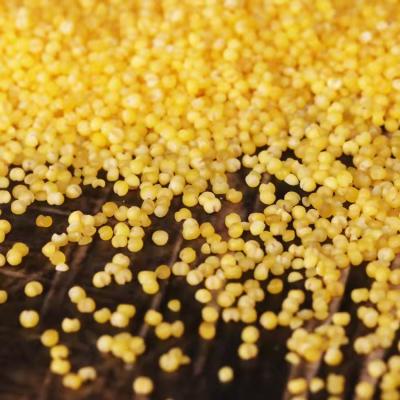 China New dry specialty in longshan millet from Shandong for sale