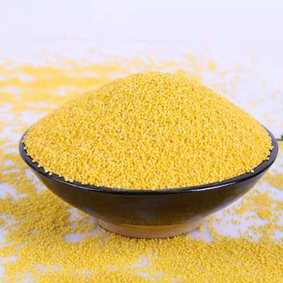 China Natural Food Grade Organic Millet Dry Millet Shell Yellow Protein for sale